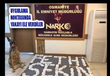 UYGULAMA NOKTASINDA YAKAYI ELE VERDİLER