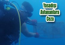Yasadışı Avlananlara Ceza
