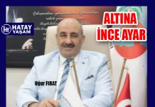 ALTINA İNCE AYAR
