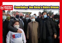 Fenerbahçe ‘den Hatay’a Hatıra Ormanı