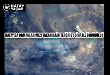 HATAY’DA ORMANLARIMIZI YAKAN HAİN TERÖRİST SİHA İLE ÖLDÜRÜLDÜ