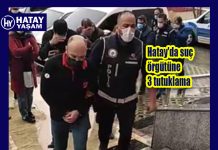 Hatay’da suç örgütüne 3 tutuklama