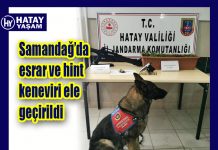 Samandağ’da esrar ve hint keneviri ele geçirildi