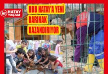 HBB HATAY’A YENİ BARINAK KAZANDIRIYOR