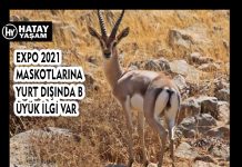 EXPO 2021 MASKOTLARINA YURT DIŞINDA BÜYÜK İLGİ VAR