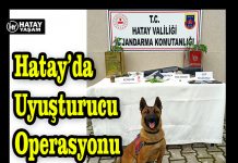 Hatay’da Uyuşturucu Operasyonu