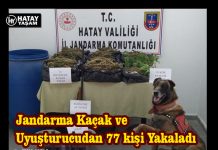 Jandarma Kaçak ve Uyuşturucudan 77 kişi Yakaladı