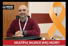 Multiple Skleroz (MS) Nedir?