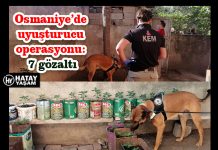 Osmaniye’de uyuşturucu operasyonu: 7 gözaltı
