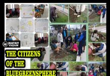 THE CITIZENS OF THE BLUEGREENSPHERE