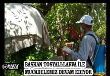 BAŞKAN TOSYALI:LARVA İLE MÜCADELEMİZ DEVAM EDİYOR