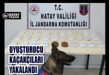 UYUŞTURUCU KAÇAKÇILARI YAKALANDI