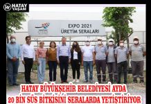 HATAY BÜYÜKŞEHİR BELEDİYESİ AYDA 20 BİN SÜS BİTKİSİNİ SERALARDA YETİŞTİRİYOR