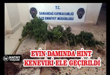 EVİN DAMINDA HİNT KENEVİRİ ELE GEÇİRİLDİ