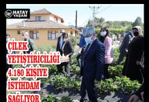ÇİLEK YETİŞTİRİCİLİĞİ 4.180 KİŞİYE İSTİHDAM SAĞLIYOR