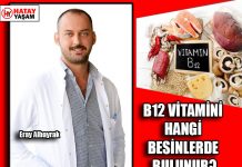 B12 VİTAMİNİ HANGİ BESİNLERDE BULUNUR?
