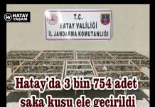 Hatay’da 3 bin 754 adet saka kuşu ele geçirildi