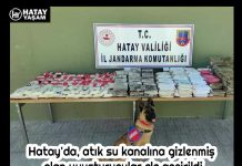 Hatay’da, atık su kanalına gizlenmiş olan uyuşturucular ele geçirildi