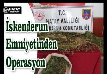 İskenderun Emniyetinden Operasyon