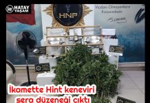 İkamette Hint keneviri sera düzeneği çıktı