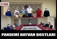 PANDEMİ HAYVAN DOSTLARI