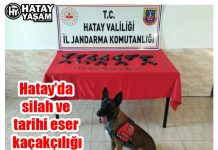 Hatay’da silah ve tarihi eser kaçakçılığı