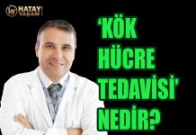 ‘KÖK HÜCRE TEDAVİSİ’ NEDİR?