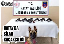 HATAY’DA SİLAH KAÇAKÇILIĞI