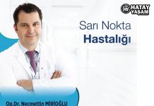 Sarı Nokta Hastalığı