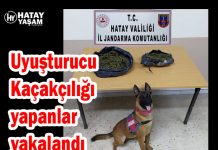 Uyuşturucu Kaçakçılığı yapanlar yakalandı