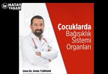 Çocuklarda Bağışıklık Sistemi Organları