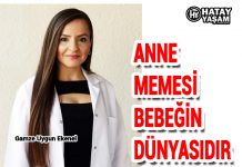ANNE MEMESİ BEBEĞİN DÜNYASIDIR