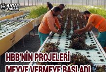 HBB’NİN PROJELERİ MEYVE VERMEYE BAŞLADI