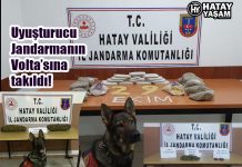 Uyuşturucu Jandarmanın Volta’sına takıldı!