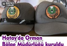 Hatay’da Orman Bölge Müdürlüğü kuruldu