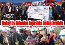 Hatay’da fidanlar toprakla buluşturuldu