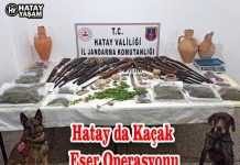 Hatay da Kaçak Eser Operasyonu