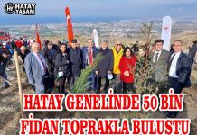 HATAY GENELİNDE 50 BİN FİDAN TOPRAKLA BULUŞTU