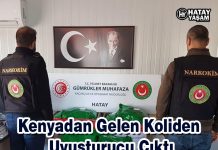 Kenyadan Gelen Koliden Uyuşturucu Çıktı