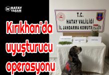 Kırıkhan’da uyuşturucu operasyonu