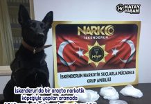 İskenderun’da bir araçta narkotik köpeğiyle yapılan aramada 1,5 kilogram sentetik uyuşturucu ele geçirildi