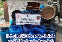 Hatay’da 240 litre sahte alkol ele geçirildi, 1 şahıs gözaltına alındı