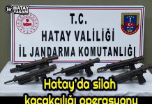 Hatay’da silah kaçakçılığı operasyonu