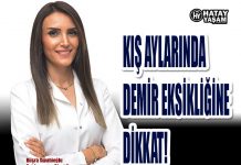 KIŞ AYLARINDA DEMİR EKSİKLİĞİNE DİKKAT!