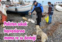 Polisten sokak hayvanlarına mama ve su desteği