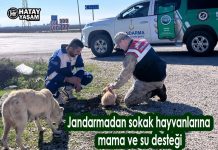 Jandarmadan sokak hayvanlarına mama ve su desteği