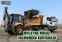 MİLLEYHA MOLOZ ZULMÜNDEN KURTARILDI