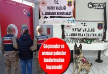 Göçmenler ve aranan şahıslar Jandarmadan kaçamadı!