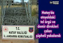 Hatay’da otoyoldaki tel örgü ve demir direkleri çalan şüpheli yakalandı
