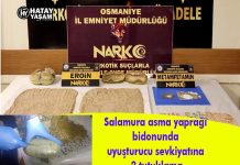 Salamura asma yaprağı bidonunda uyuşturucu sevkiyatına 2 tutuklama